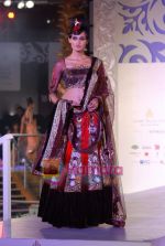 Model walks the ramp for Sonia Mehra at Aamby Valley India Bridal Week day 5 on 2nd Nov 2010 (27).JPG